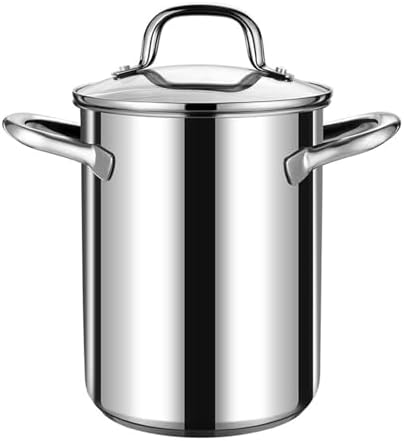 AIZYR Stainless Steel Soup Pot