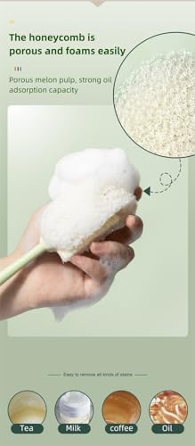 Detachable Cup Washing Brush with Soft and Hard Bristles 1