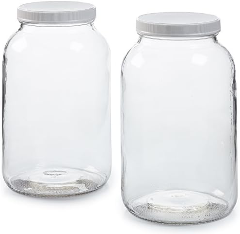 1790 Large Glass Jars with Lid
