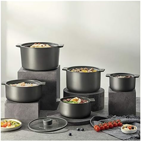 Vivid Appetizing and Functional Multi-Purpose Stockpot with Capable Glass Lid