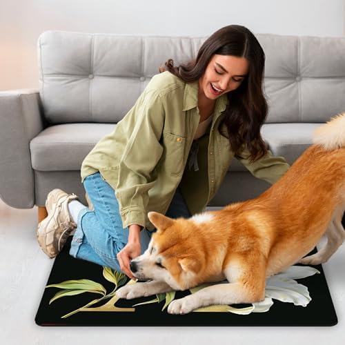 Letter A Kitchen Rugs 24x16 Non-Slip Farmhouse Kitchen Mat for KitchenSinkLaundry